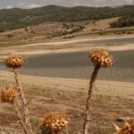 «-bienvenue-dans-le-prochain-desert-en-europe-»-:-la-sicile-assaillie-par-les-fleaux-climatiques