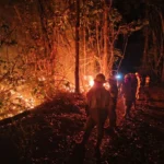 incendio-amenaza-mas-de-40-mil-ha-de-asai-en-porvenir