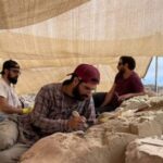 paleontologos-argentinos-buscan,-en-vivo,-dinosaurios-en-la-estepa-patagonica