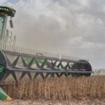 pronostico-de-la-nina-hace-saltar-las-primeras-alarmas-en-la-argentina-de-milei