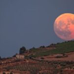 ¿que-dia-y-a-que-hora-podra-verse-la-luna-de-la-cosecha-2025-en-la-argentina?