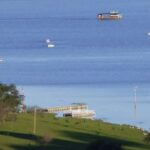 tras-cuidar-el-desove-durante-un-mes,-habilitaron-la-pesca-de-pejerrey-en-el-norte