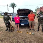 ¿pueden-los-antidrogas-detectar-sustancias-controladas-en-un-vehiculo?