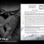 el-articulo-del-decreto-11-2025-que-declara-a-maras-y-pandillas-como-terroristas