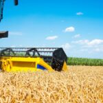 el-gobierno-elimino-varias-regulaciones-al-campo-para-simplificar-la-normativa-agropecuaria