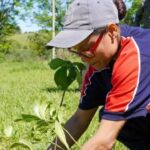 misiones-planto-100.000-arboles-nativos-para-restaurar-un-ecosistema-amenazado