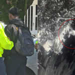 la-peligrosa-tendencia-en-la-que-combos-de-jovenes-se-citan-a-pelearse-con-armas-blancas-en-medellin:-un-menor-de-17-anos-fue-asesinado-a-machetazos