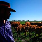 estados-unidos-revela-plan-para-aumentar-la-produccion-de-carne-vacuna-y-aumenta-la-cuota-argentina
