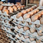 precios-del-queso,-pollo-y-huevo-elevan-en-santa-cruz