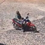 ¡crueldad-animal!-disparan-contra-un-perro-frente-a-un-colegio
