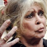 brigitte-bardot-desmintio-los-rumores-sobre-su-muerte:-“yo-no-se-quien-es-el-imbecil-lanzo-esta-fake-news”