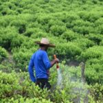 los-ataques-estadounidenses-no-logran-detener-el-trafico-de-drogas-en-colombia:-una-explicacion
