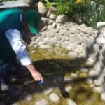 seis-distritos-crucenos-estan-en-emergencia-por-criaderos-de-mosquitos
