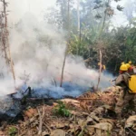 en-santa-cruz-11-municipios-se-declaran-en-desastre-por-incendios