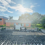 ‘corredores-seguros’,-la-estrategia-que-ha-logrado-asfixiar-economias-ilicitas-en-el-valle-del-cauca:-cayo-mas-de-tres-toneladas-de-estupefacientes