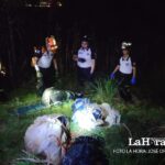bomberos-voluntarios-localizan-a-ocho-fallecidos-en-la-ruta-al-atlantico