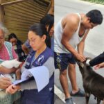 el-mspas-realiza-jornada-de-vacunacion-de-mascotas-contra-la-rabia-durante-este-mes