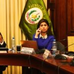 congreso-deja-en-suspenso-la-propuesta-de-ampliar-el-reinfo-hasta-fines-del-2026:-¿que-paso-durante-el-debate-en-la-comision?