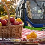 “tu-ruta,-tu-picnic”-promueve-la-movilidad-ecologica-en-la-ciudad