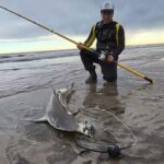 comienza-la-temporada-de-tiburones-con-las-primeras-marcas-de-cazones-en-pehuen-co