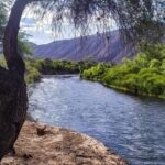 tras-la-polemica-habilitacion-de-la-pesca-del-dorado,-hay-marcha-atras-en-la-medida