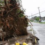 fabrice-chauvin,-meteorologo:-«los-jamaicanos-deben-vivir-en-este-momento-un-infierno»