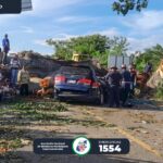 video:-arbol-cae-sobre-vehiculo-dejando-4-fallecidos-y-4-heridos-en-san-miguel-chaparron,-jutiapa