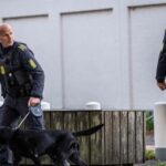 en-dinamarca,-dos-personas-inculpadas-por-un-ataque-a-la-granada-en-2024-pres-de-la-embajada-israeli