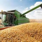 advertencia-para-uruguay-y-argentina:-el-banco-mundial-preve-caidas-de-los-precios-internacionales-de-materias-primas