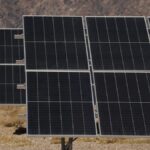 la-secretaria-de-energia-autorizo-el-ingreso-al-mercado-electrico-mayorista-de-un-nuevo-parque-solar-en-la-rioja