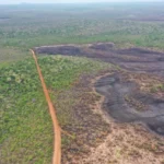en-santa-cruz-no-registran-incendios-forestales-activos