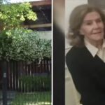 “se-nos-fue-la-mano-con-la-vieja”:-el-aterrador-mensaje-de-los-delincuentes-que-robaron-a-la-jubilada