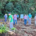 plantan-200.000-arboles-para-conservar-al-yaguarete-en-misiones