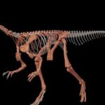 encuentran-a-uno-de-los-dinosaurios-mas-antiguos-del-mundo-en-la-precordillera-riojana