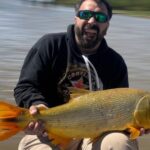 dorados-de-excelente-porte,-el-plan-principal-de-los-pescadores-en-ramallo