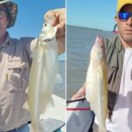 la-salada-se-vuelve-a-posicionar-entre-las-mejores-lagunas-para-pescar-pejerrey