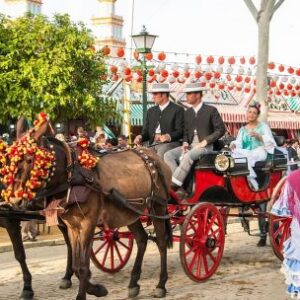 andalucia:-el-corazon-de-espana,-entre-la-alhambra-y-el-mar-de-olivos