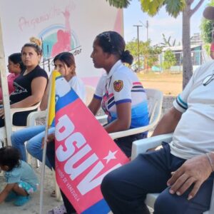 comites-bolivarianos-de-base-integral:-¿para-que-tantas-estructuras-de-base-en-el-psuv?