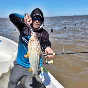 bogas-en-los-malecones:-una-temporada-que-se-activa-entre-viento,-mareas-y-variedad