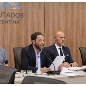 el-informe-del-congreso-sobre-la-estafa-de-$libra-acusa-a-milei-de-presunto-fraude-criptografico