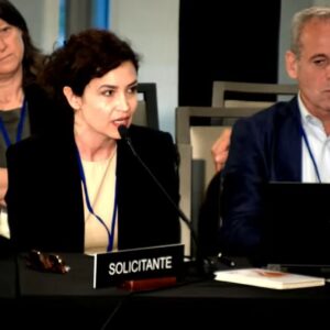 argentine-journalists-denounce-state-harassment-under-president-milei-at-iachr