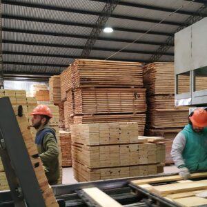 la-confianza-de-los-industriales-mejoro-por-primera-vez-en-seis-meses,-pero-el-97%-no-preve-contratar-empleados
