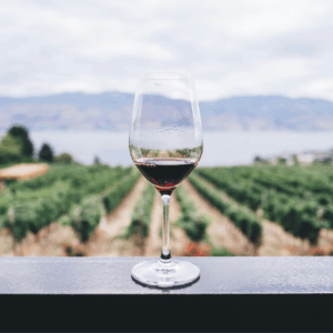 argentinas-wine-market-is-slumping.-can-deregulation-help?