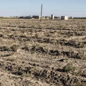 en-siria,-el-nuevo-poder-se-enfrento-a-una-secheresse-inedita-desde-1956