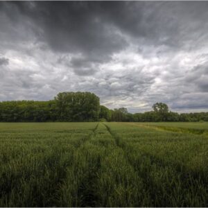 el-campo-en-alerta-ante-tormentas-severas:-marcaran-un-punto-de-inflexion-para-el-maiz-temprano-y-la-siembra-de-soja