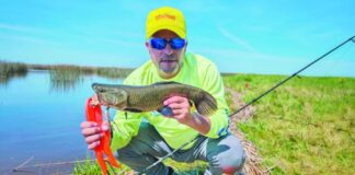 Las corvinas negras más cerca que nunca en tu Weekend de noviembre!! las-corvinas-negras-mas-cerca-que-nunca-en-tu-weekend-de-noviembre!!