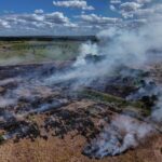 en-brasil,-la-plus-fuerte-baisse-des-emissions-de-gas-a-effet-de-serre-en-quinze-ans,-notamment-grace-a-la-lutte-contra-la-deforestacion