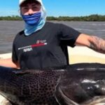 en-concordia-pescaron-un-surubi-negro-de-45-kg