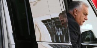 En Hongrie, Viktor Orban utiliza inteligencia artificial para descrédibilizar a su oponente en-hongrie,-viktor-orban-utiliza-inteligencia-artificial-para-descredibilizar-a-su-oponente