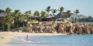 Los Cabos: un destino de México que vale la pena descubrir los-cabos:-un-destino-de-mexico-que-vale-la-pena-descubrir